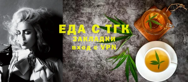 хмурый Алзамай