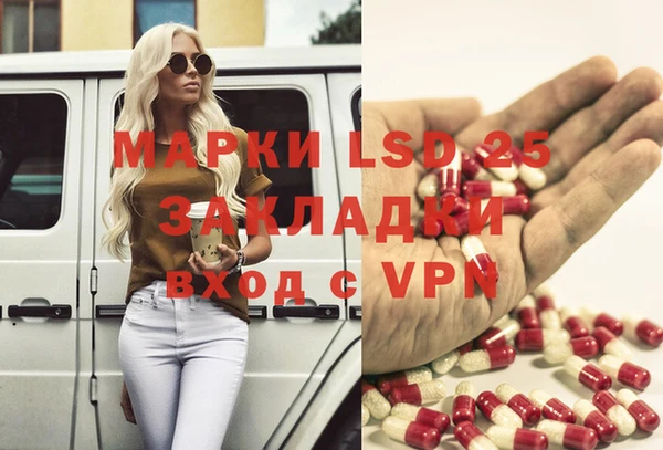 хмурый Алзамай