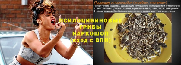 хмурый Алзамай