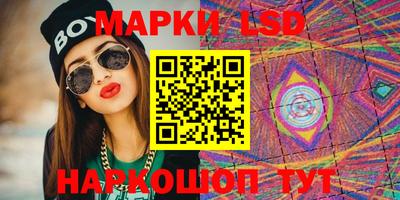 прущие грибы Брянск