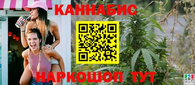прущие грибы Брянск