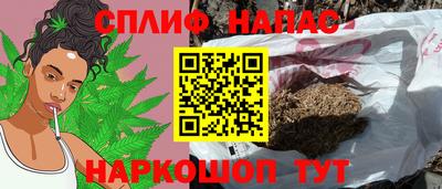 прущие грибы Брянск