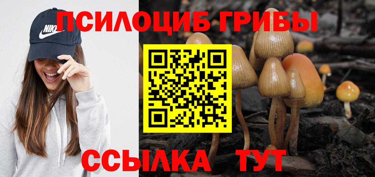 Галлюциногенные грибы Magic Shrooms  Вход с VPN  Псилоцибиновые грибы мицелий  Кореновск 
