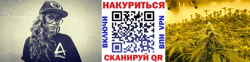 Конопля SATIVA & INDICA  как найти закладки  Кореновск 
